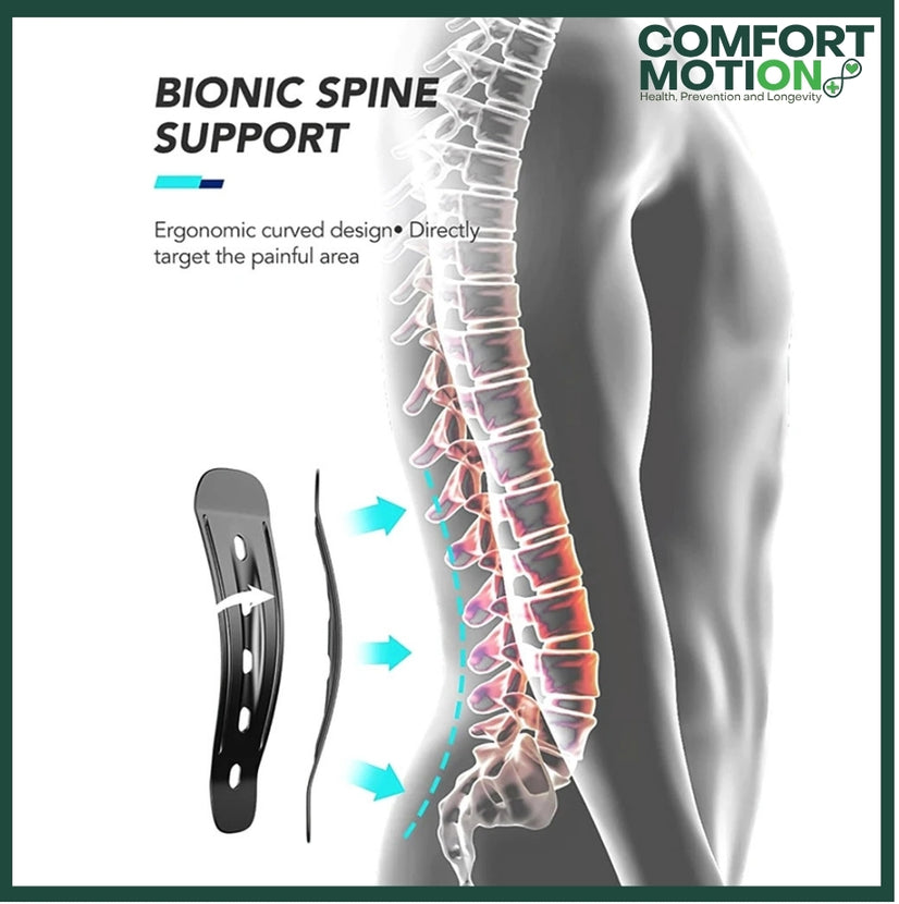 BackEase Support